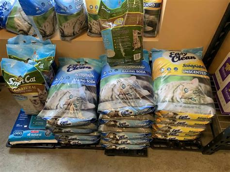 best cat litter|Best cat litter options 2024 to make your life easier .